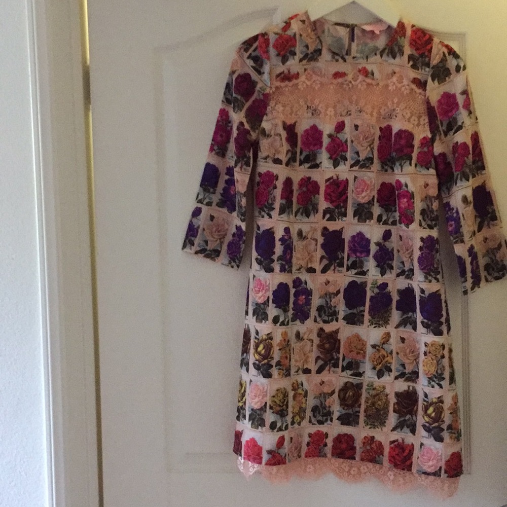 Ted Baker London silk dress